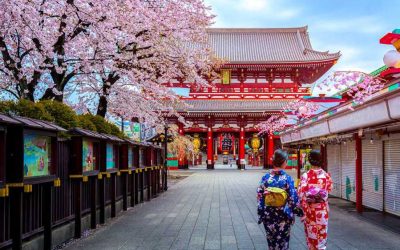 What makes Japan so special?
